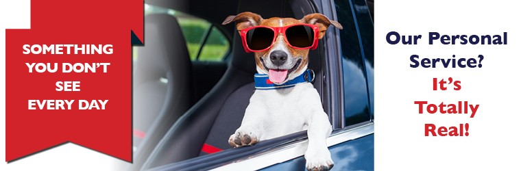 Mobile Totally Real Service 1